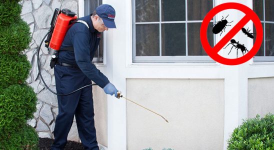 Geyve Gümüşkurt İlaçlama böcek ilaçlama ve haşere kontrolü — ilaclama-tr.com